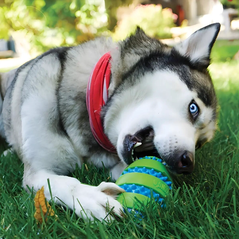 PELOTA DE GOMA CON SONIDO PARA PERROS GRANDES RESISTENTE Y DURADERA - 3