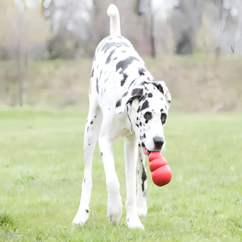JUGUETE PARA PERRO RESISTENTE TAMAÑO XXL COLOR ROJO - 2