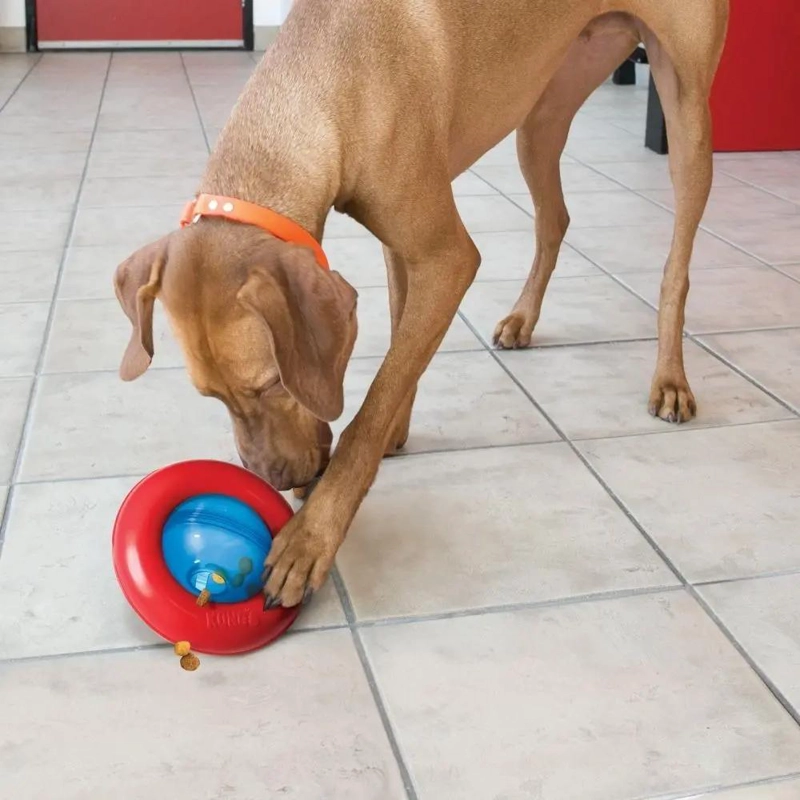 PELOTA INTERACTIVA PARA PERROS TAMAÑO GRANDE COLORES ROJO Y AZUL - 3