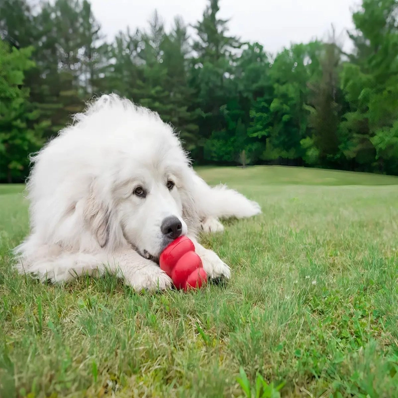 JUGUETE MORDEDOR RELLENABLE PARA PERROS COLOR ROJO RESISTENTE - 4