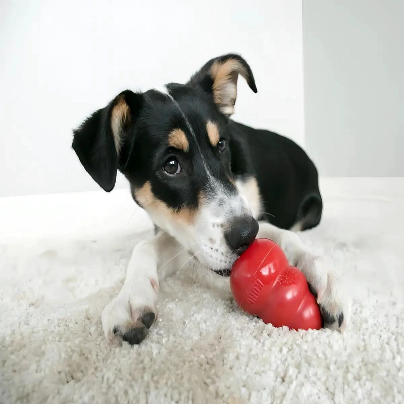 JUGUETE MORDEDOR RELLENABLE PARA PERROS COLOR ROJO RESISTENTE - 5