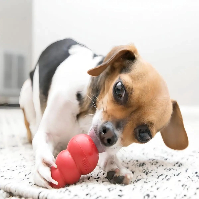 JUGUETE INTERACTIVO CLASICO PARA PERROS TAMAÑO XS COLOR ROJO - 2