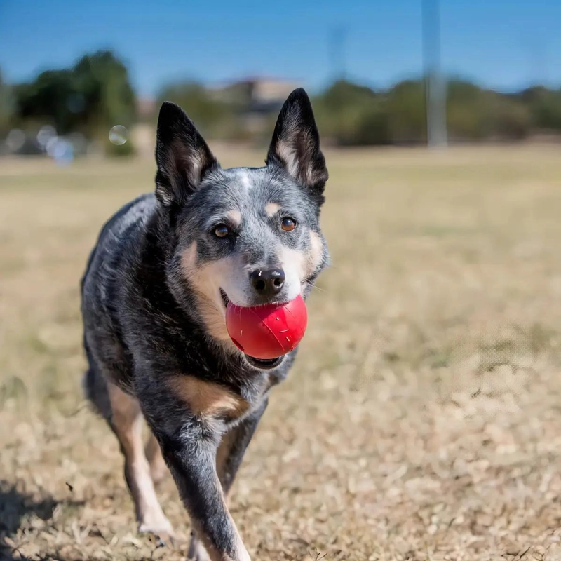 PELOTA DE CAUCHO ROJO MEDIANA PARA PERRO CON AGU - 2