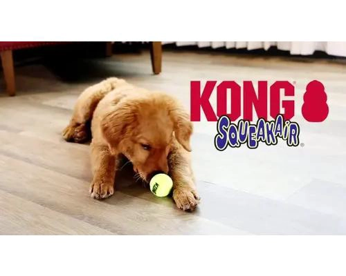 PELOTA PARA PERROS GRANDE CON SONIDO Y MATERIAL RESISTENTE - 2