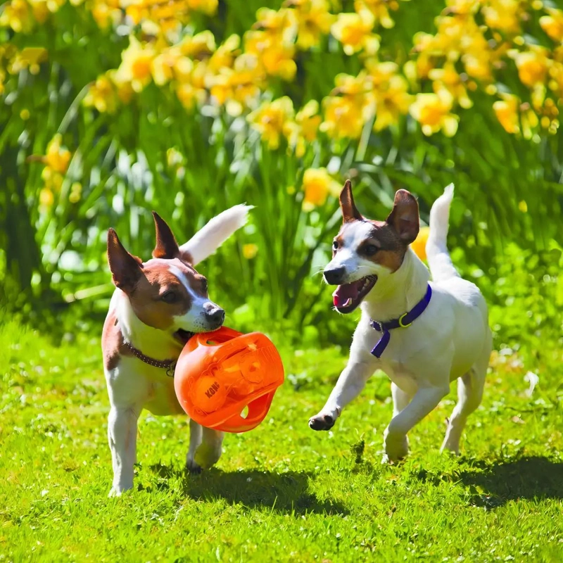 PELOTA INTERACTIVA PARA PERROS TAMAÑO GRANDE CON SONIDO Y TEXTURA RESISTENTE - 5