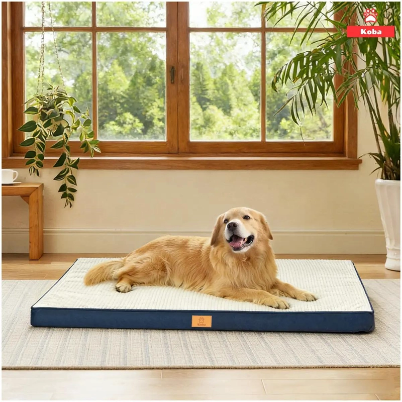CAMA ANTIESTRE S EXTRA GRANDE PARA PERROS CON COLCHON COMODO Y RESISTENTE - 1