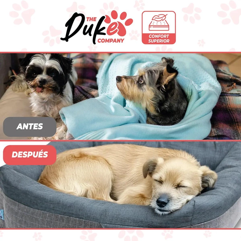 CAMA PARA PERRO TAMAÑO PEQUEÑO CON DISEÑO COMODO Y RESISTENTE - 5