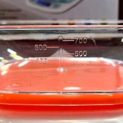 BASCULA GRAMERA PARA COCINA CON RECIPIENTE PARA PESAR ALIMENTOS - 4