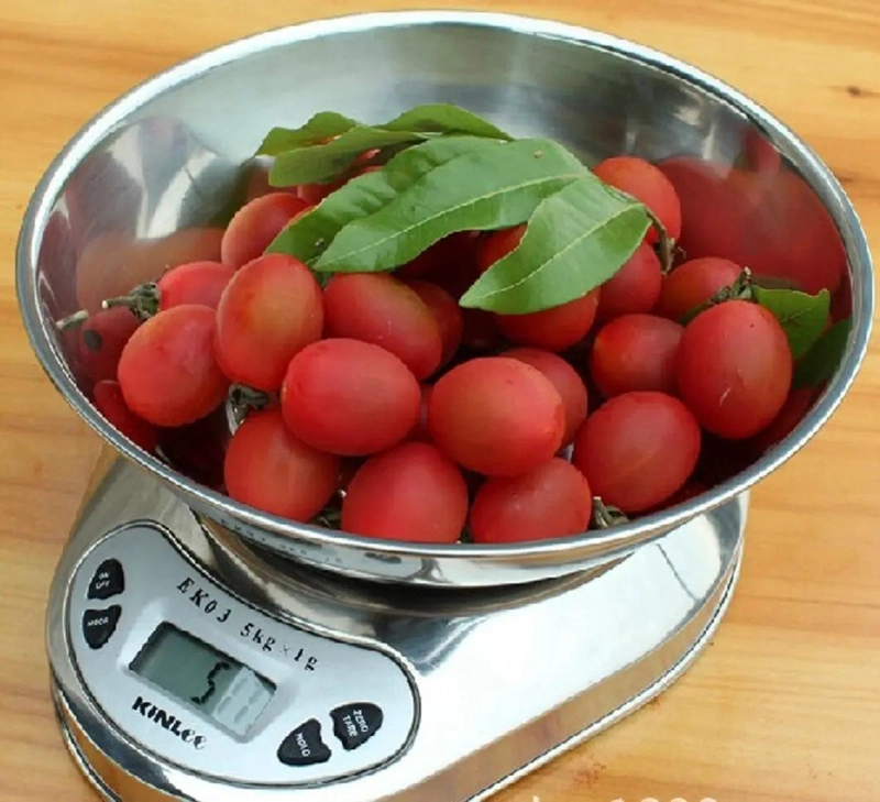 PESA DE COCINA DE ACERO INOXIDABLE CON BOWL Y CAPACIDAD DE 5 KG - 3