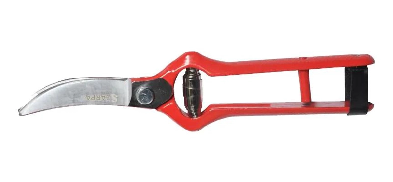 TIJERA FORJADA DE 19 CM PARA CORTAR AJOS CON DISEÑO RESISTENTE - 1