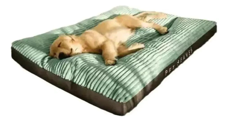 CAMA PARA PERROS GRANDES CON ALMOHADON VERDE LIMA 120X90 CM - 1