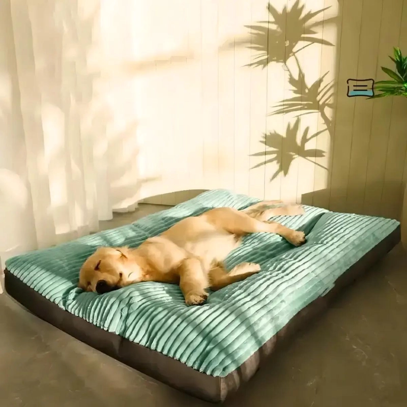 CAMA PARA PERROS GRANDES CON ALMOHADON VERDE LIMA 120X90 CM - 2