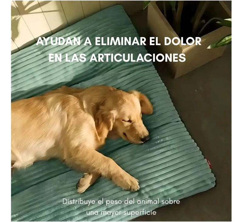 CAMA PARA PERROS GRANDES CON ALMOHADON VERDE LIMA 120X90 CM - 4