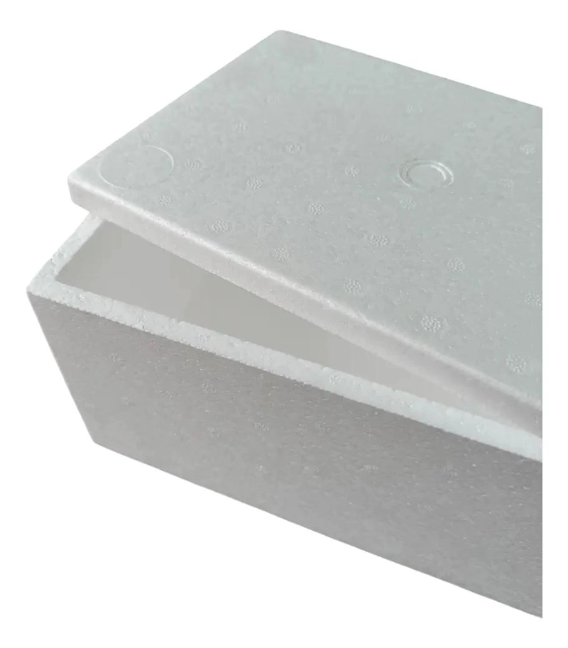 CAJA AISLANTE DE PLUMAVIT DE 12 LITROS LIVIANA Y PRACTICA - 3