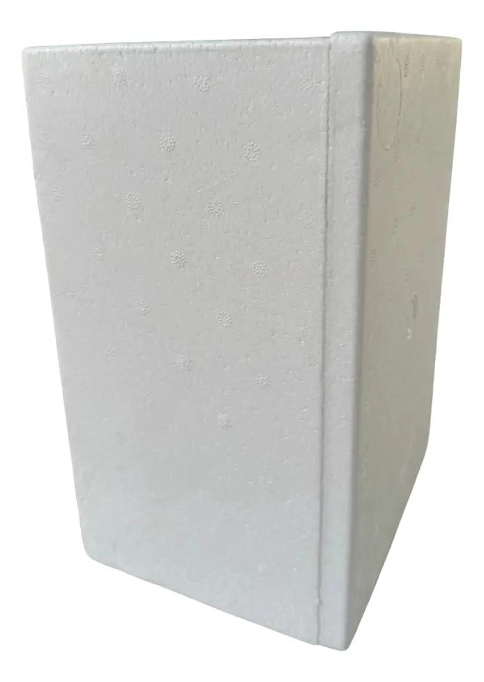 CAJA AISLANTE DE PLUMAVIT DE 12 LITROS LIVIANA Y PRACTICA - 4