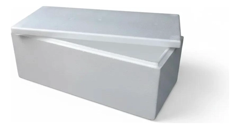 NEVERA COMPACTA DE 60 LITROS CON AISLAMIENTO TE RMICO EFICIENTE - 1