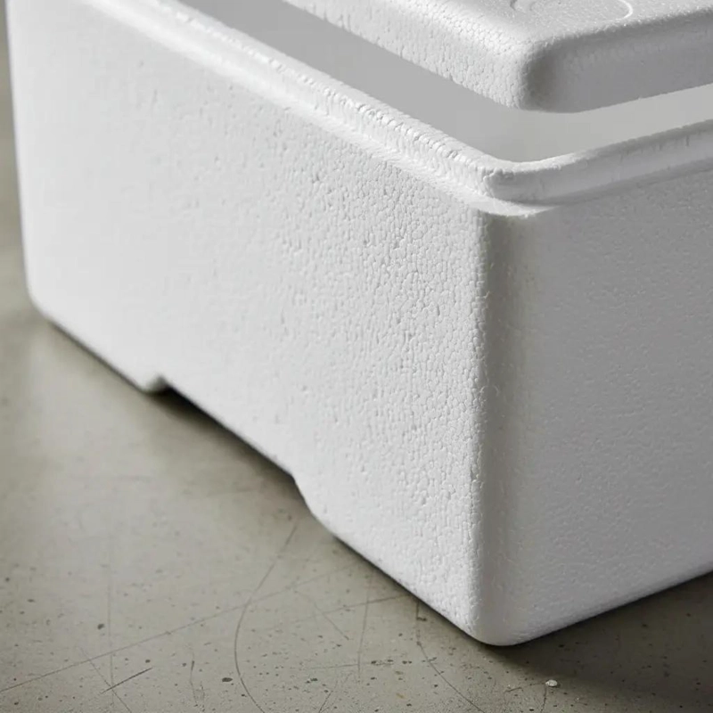 CAJA DE PLUMAVIT AISLAPOL DE 11 LITROS CON DIMENSIONES 29X27X21 CM - 3