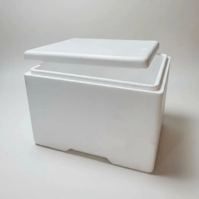 CAJA DE PLUMAVIT AISLAPOL DE 11 LITROS CON DIMENSIONES 29X27X21 CM - 4