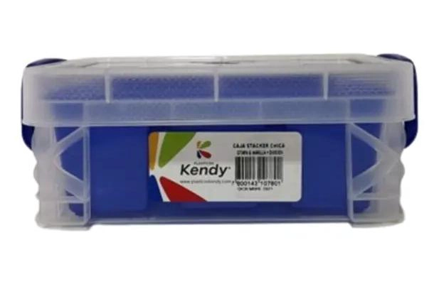 SET DE 3 CAJAS GRANDES CON DIVISIONES Y ASAS PARA ORGANIZACION - 1