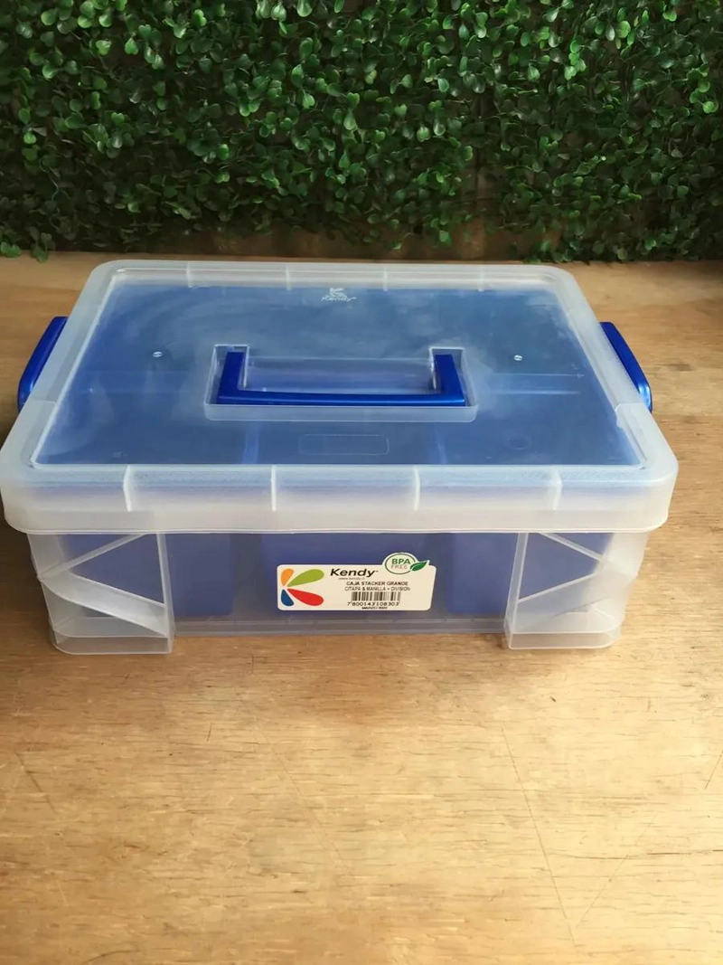 SET DE 3 CAJAS GRANDES CON DIVISIONES Y ASAS PARA ORGANIZACION - 4