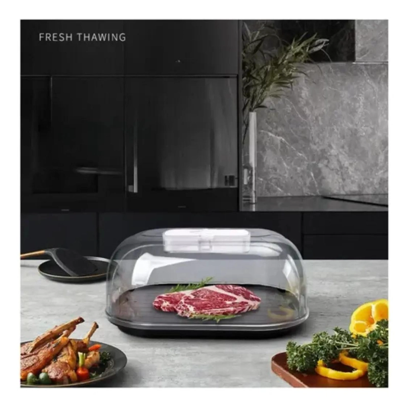 BANDEJA PARA DESCONGELAR CARNES DE FORMA SEGURA Y EFICIENTE - 3