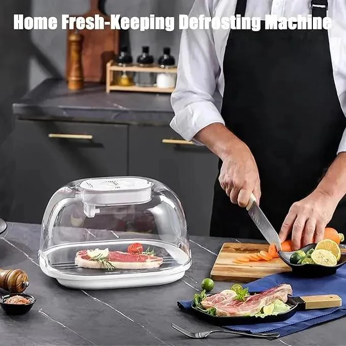 MAQUINA PARA DESCONGELAR ALIMENTOS CON TAPA Y FUNCION RAPIDA - 2