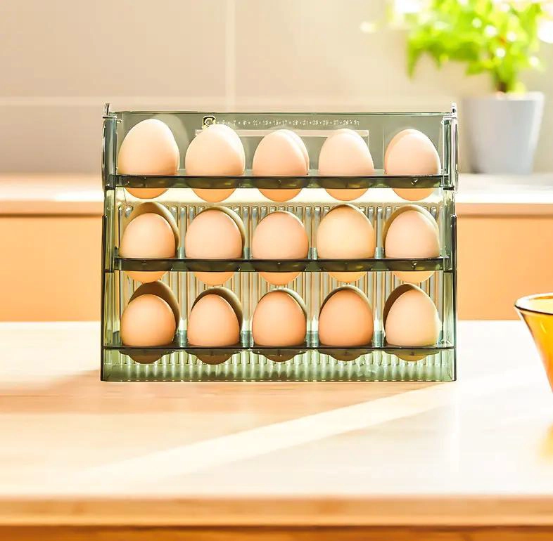 CAJA ORGANIZADORA PARA HUEVOS CAPACIDAD 30 UNIDADES - 10