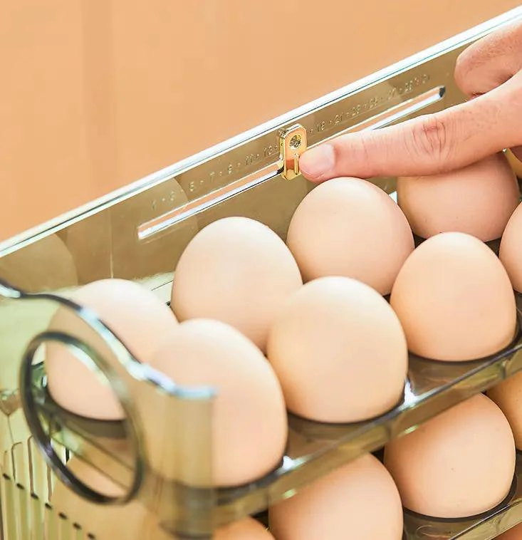 CAJA ORGANIZADORA PARA HUEVOS CAPACIDAD 30 UNIDADES - 6