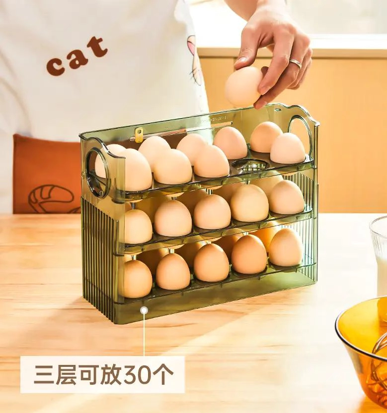 CAJA ORGANIZADORA PARA HUEVOS CAPACIDAD 30 UNIDADES - 9