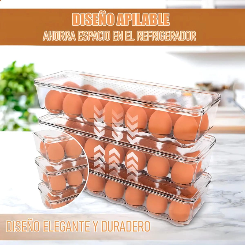 BANDEJA TRANSPARENTE PARA 12 HUEVOS APILABLE Y COMPACTA - 5