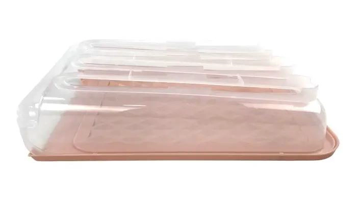 ORGANIZADOR DE HUEVOS APILABLE CON TAPA PARA 21 UNIDADES - 7
