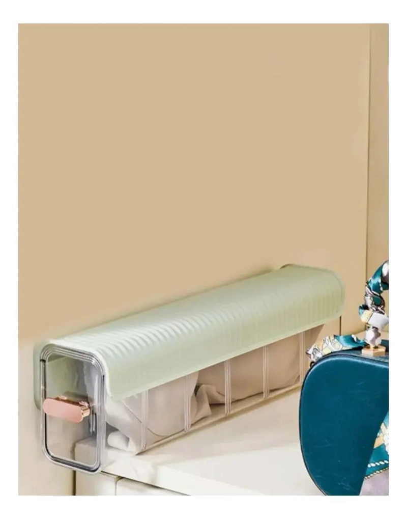 ORGANIZADOR DE PARED MULTIFUNCIONAL PARA ROPA INTERIOR CON 5 ESPACIOS - 2