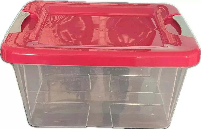 CAJA ORGANIZADORA APILABLE DE 10 LITROS PARA TODO USO - 1