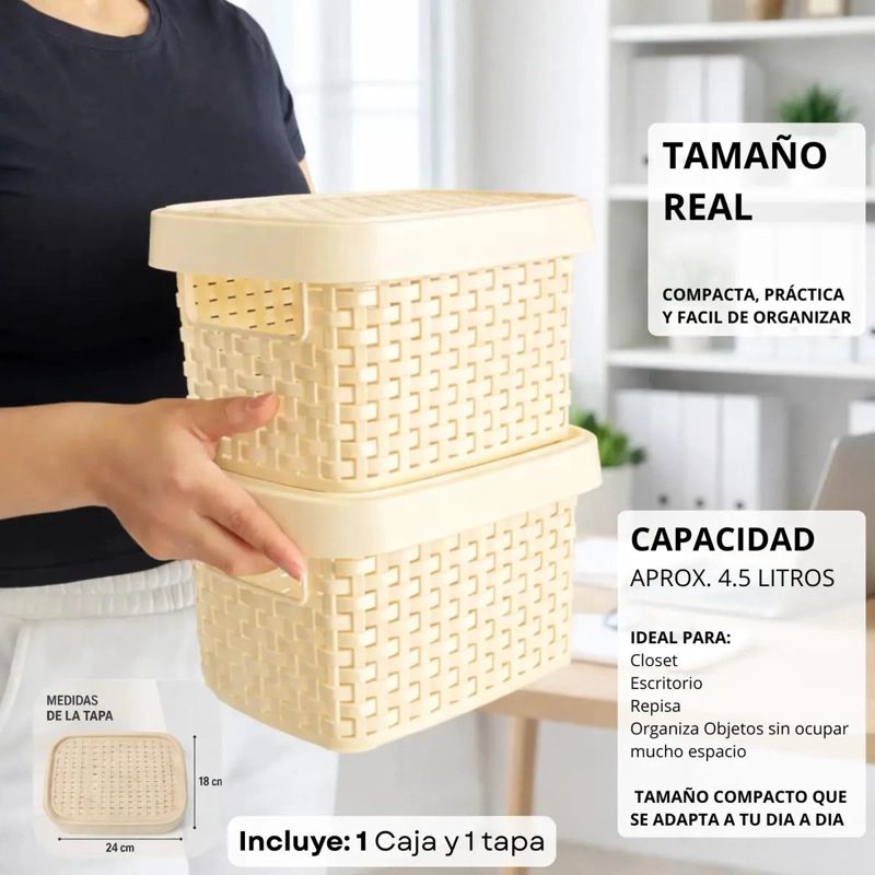 CAJA ORGANIZADORA PLASTICA MULTIUSO ESTILO RATAN 4.5 LITROS - 4