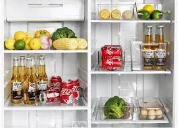 ORGANIZADOR DE PLASTICO PARA REFRIGERADOR 23X23X5,5CM - 2