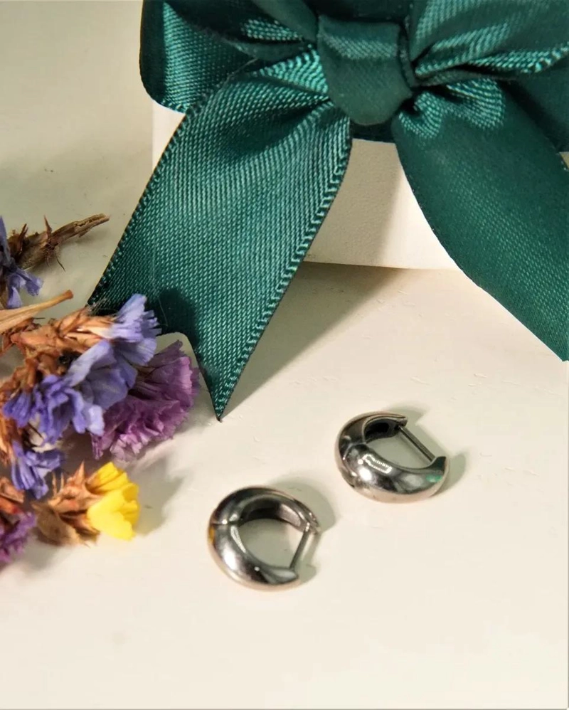 AROS CAMILA ARGOLLAS DE TITANIO 8MM PARA PIEL SENSIBLE - 3