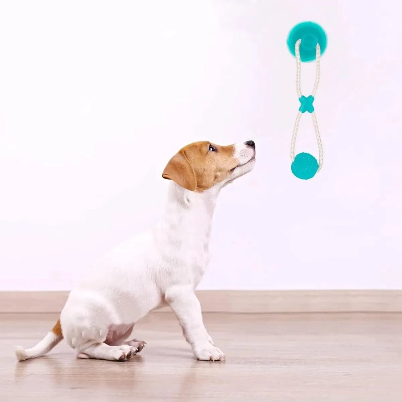 JUGUETE MULTIFUNCIONAL PARA MASCOTAS CON VENTOSA Y PELOTA - 6