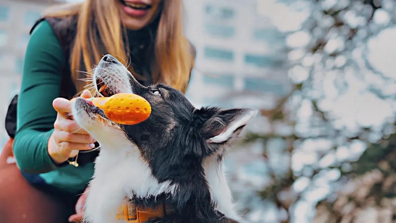 JUGUETE HUESO DE CAUCHO NATURAL PARA PERROS COLOR NARANJA - 2