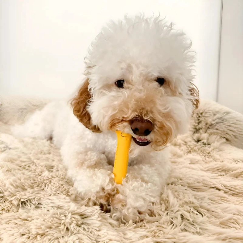 JUGUETE HUESO DE CAUCHO NATURAL PARA PERROS PEQUEÑOS - 1