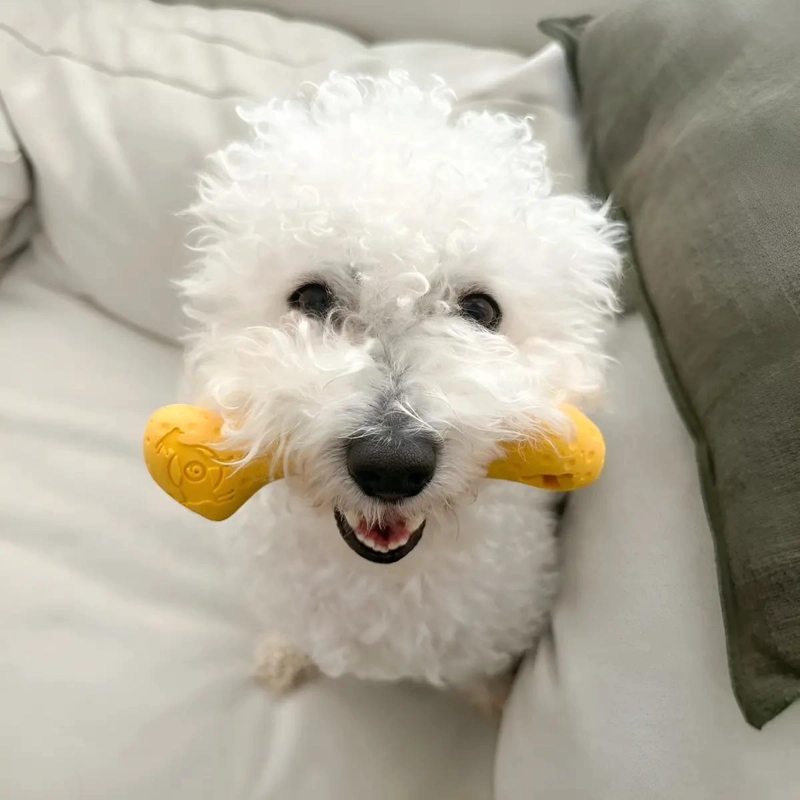 JUGUETE HUESO DE CAUCHO NATURAL PARA PERROS PEQUEÑOS - 2