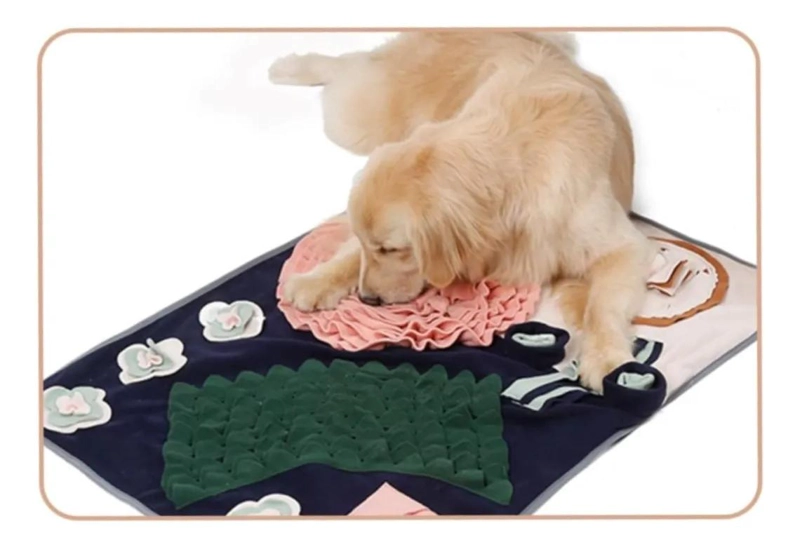 ALFOMBRILLA DE ENTRENAMIENTO PARA MASCOTAS IDEAL PARA PERROS - 3