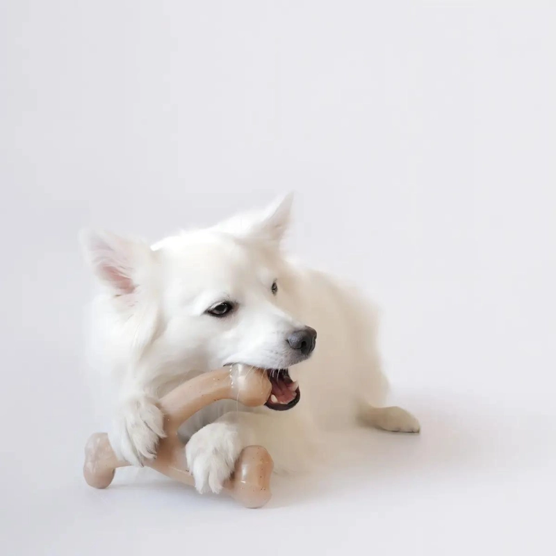 HUESO JUGUETE PARA PERROS CON SABOR A TOCINO PARA CACHORROS - 3