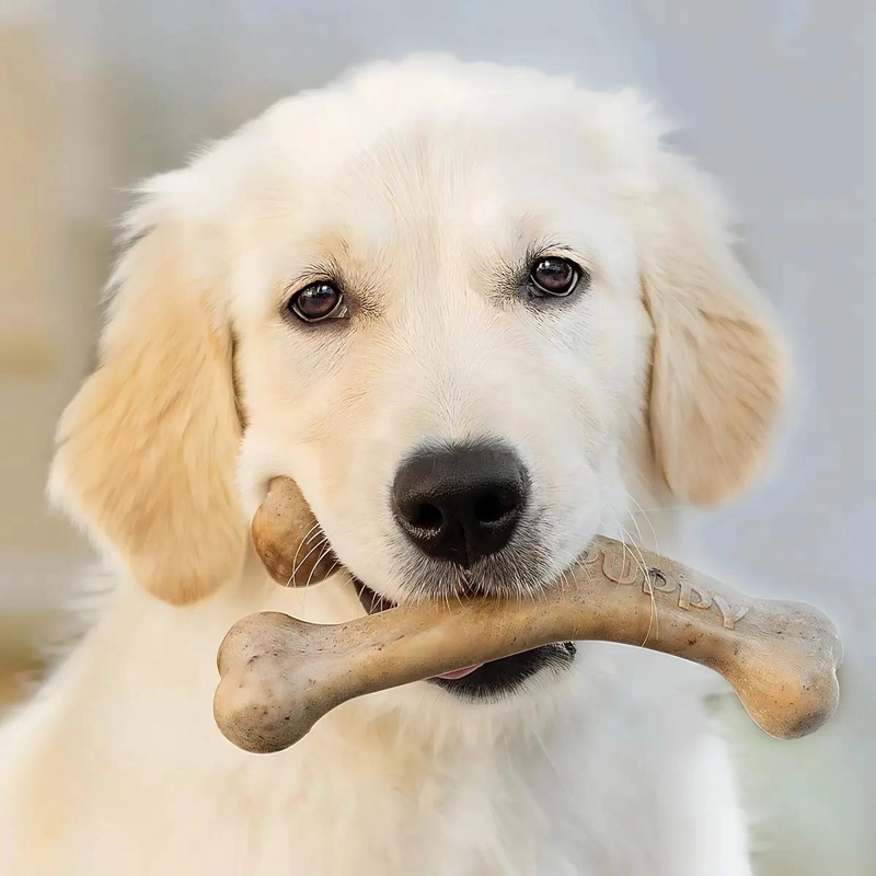 HUESO JUGUETE PARA PERROS CON SABOR A TOCINO PARA CACHORROS - 4