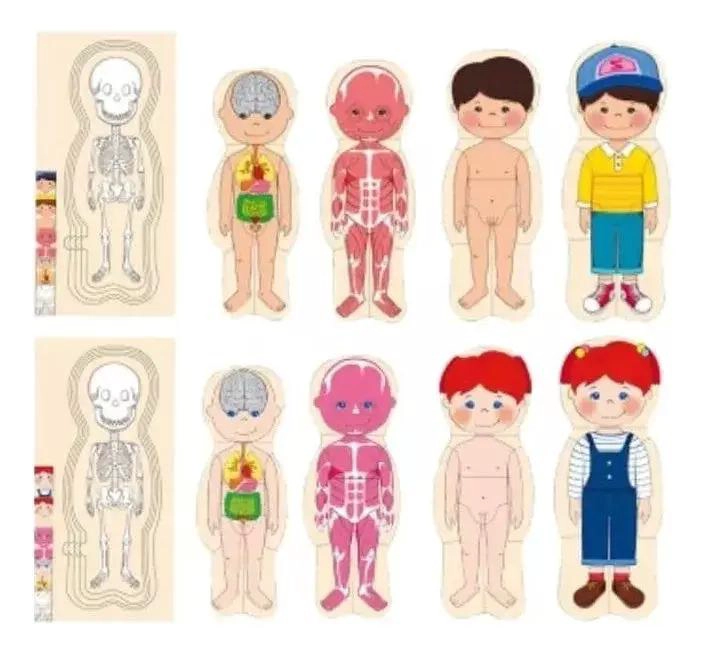 ROMPECABEZAS DE MADERA CUERPO HUMANO PARA NIÑOS - 3