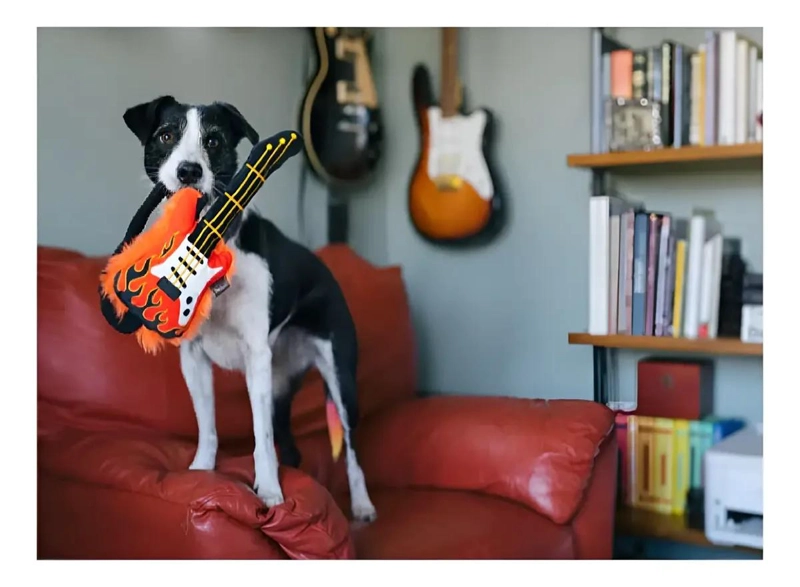 JUGUETE PARA PERRO EN FORMA DE GUITARRA ECOLOGICO - 3