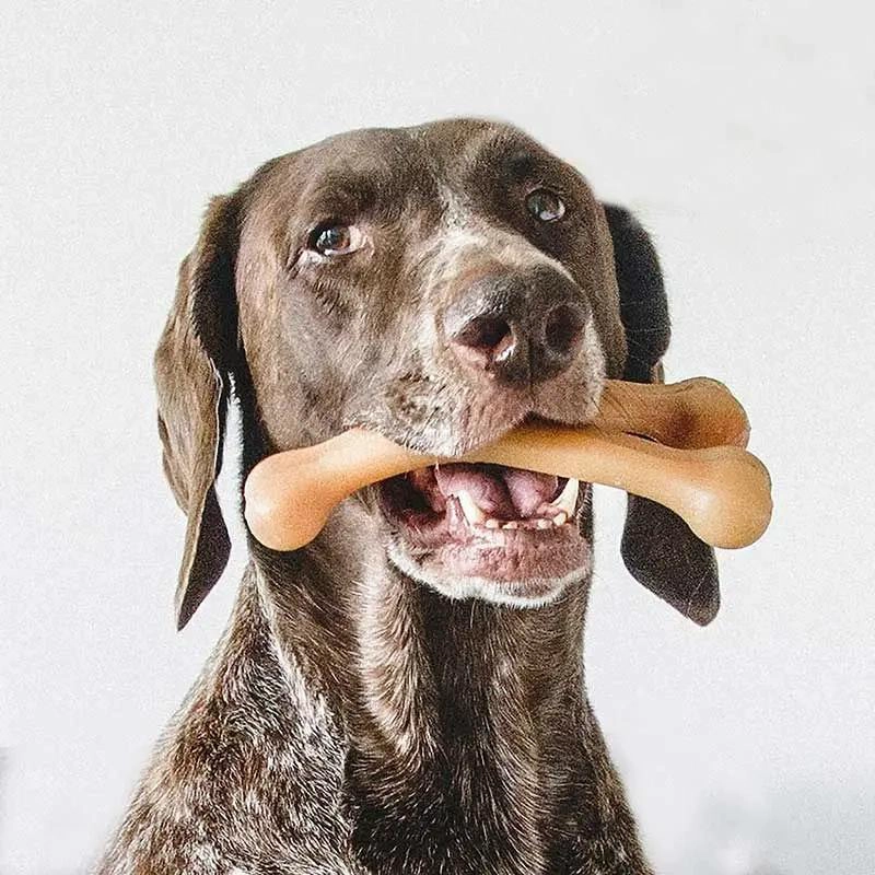HUESO DE MASTICACION SABOR POLLO PARA PERROS PEQUEÑOS - 5
