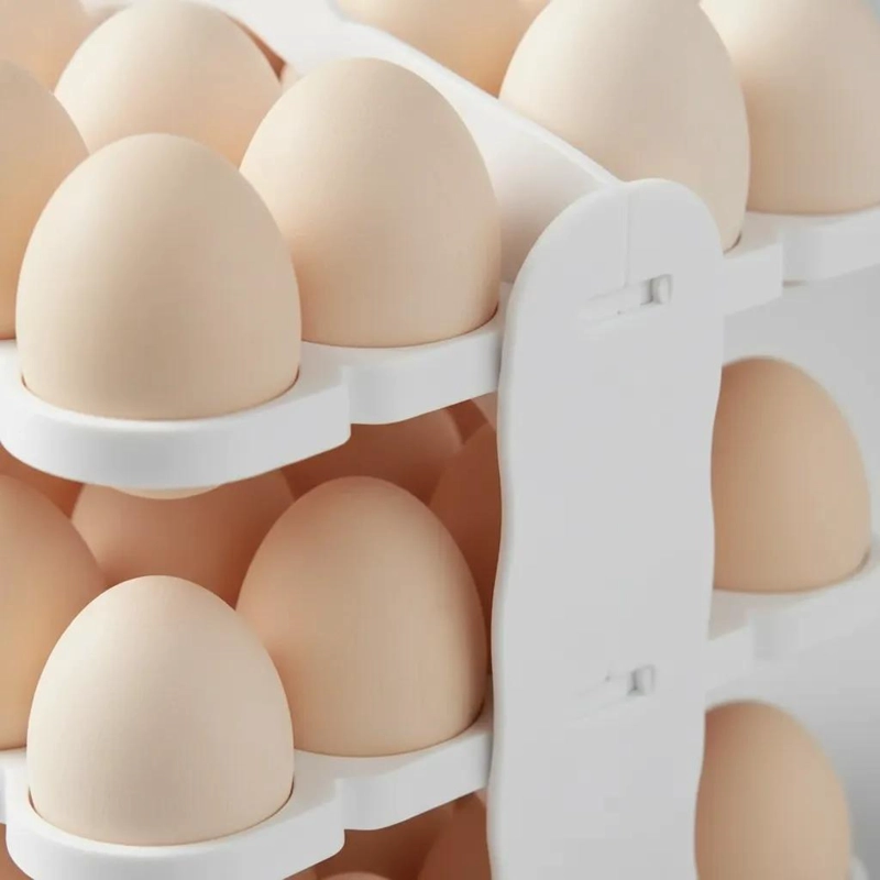 BANDEJA ORGANIZADORA DE HUEVOS PARA 60 UNIDADES - 4