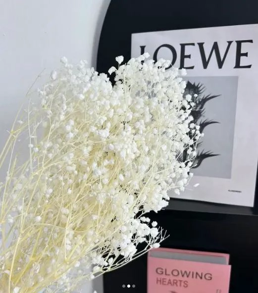 RAMO DE FLORES SECAS GYPSOPHILA PARA DECORACION FLORAL - 2