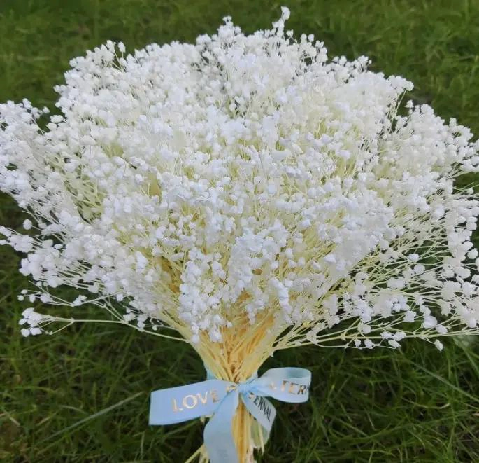 RAMO DE FLORES SECAS GYPSOPHILA PARA DECORACION FLORAL - 7