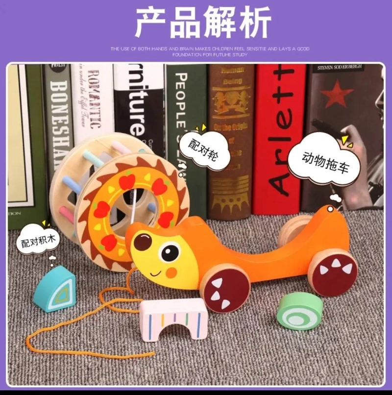 JUEGO DE ENCAJE MONTESSORI ERIZO DIDACTICO CON RUEDAS - 2